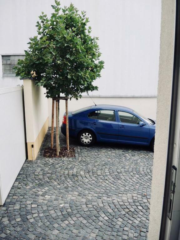 Modernes Apartment - Neustadt/Weinstrasse Stadt Neustadt an der Weinstraße Exteriér fotografie